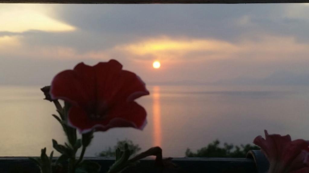 B&B "L'Eco Del Mare" Agropoli Eksteriør billede